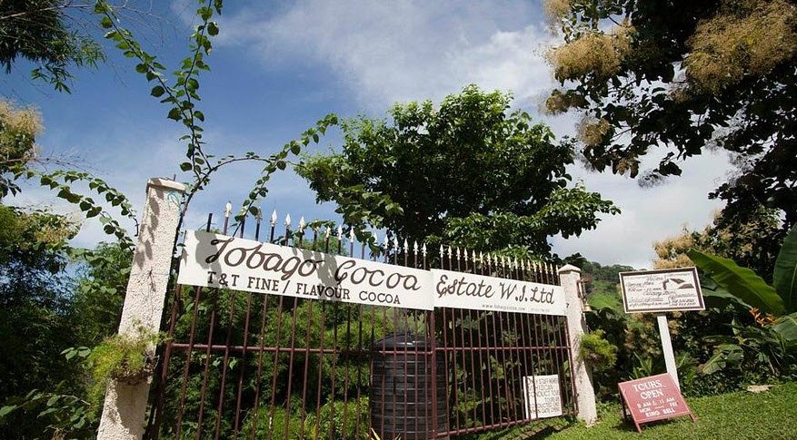 Tobago Cocoa Estate, Roxborough, Tobago, Trinidad and Tobago